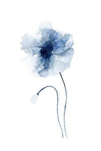 Poster / Leinwandbild - Blue Poppies No. 1 - Photocircle