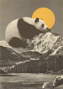 Poster / Leinwandbild - Giant Panda Nap - Photocircle