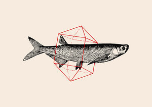 Poster / Leinwandbild - Fish in Geometrics - Photocircle