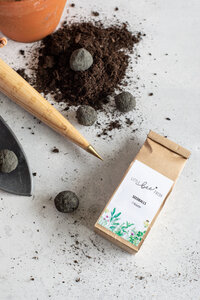 7 St. Seedballs – wilde Kräuter - little bee fresh
