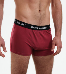 2er-Set Bio Herren Boxerpanties - Gary Mash