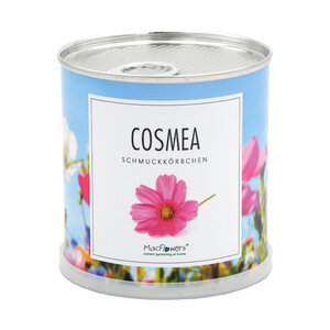 Blumengrüße - Echte Schmuckkörbchen - Cosmea Mix in der Dose - MacFlowers