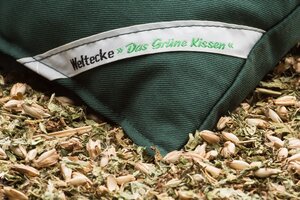 Das grüne Kissen  - Weltecke