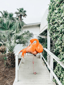 Poster / Leinwandbild - Flamingo Beach House - Photocircle