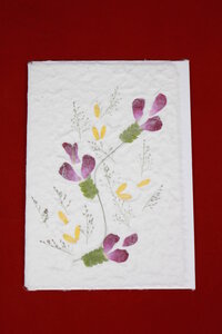 Set 4 Grusskarten aus handgeschöpftem Maulbeerbaumpapier - Schönes aus Indochina