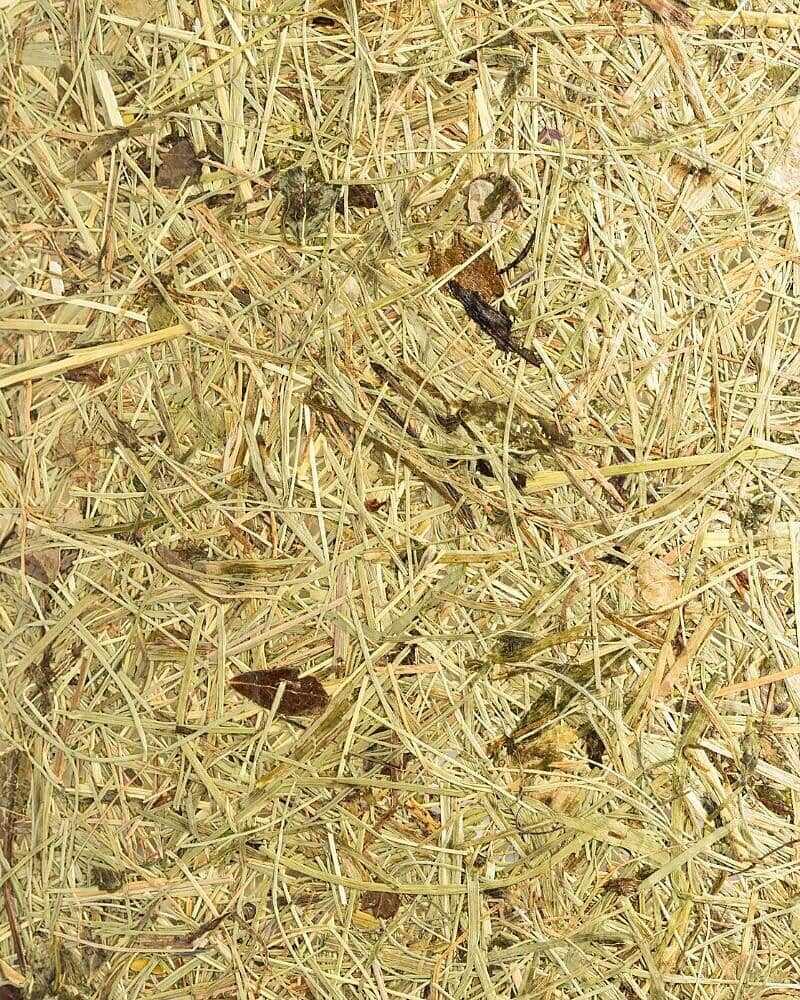 ALMUT von Wildheim - Nachhaltige Almheu Deckenlampe aus 100 % Tiroler ...