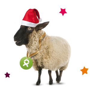 Schaf (Weihnachten) - OxfamUnverpackt