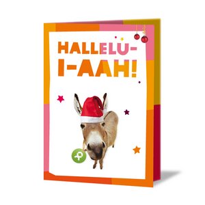 Spenden-Geschenk "Esel" (Weihnachtskarte mit Magnet) - OxfamUnverpackt