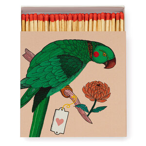 Parrot Matchbox Streichhölzer - Archivist