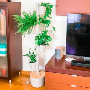 Vertikaler Blumentopf mit 4 luftreinigenden Pflanzen - CitySens