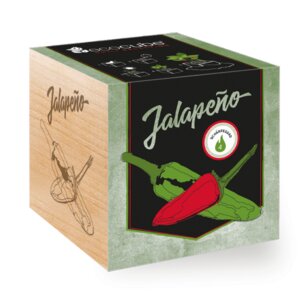 Chilipflanze "Jalapeño" im Holzwürfel - EcoCube