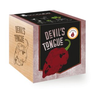 Chilipflanze "Devil's Tongue" im Holzwürfel - EcoCube