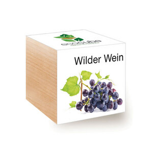 Wilder Wein im Holzwürfel - EcoCube