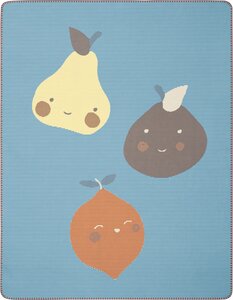 Baby-und Kinderdecke "Little Fruits- terra oder aqua" - GRS Standard - biederlack