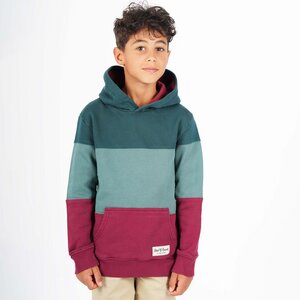 3C Block Hooded - Band of Rascals