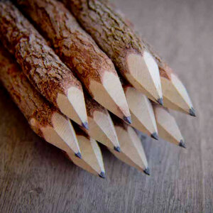Bleistifte - Vegan, aus Zweigen, 10er - Set - BY COPALA