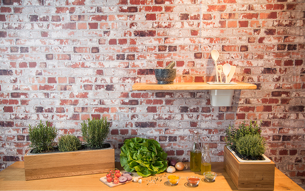 Greenhaus Kräuterbox Eiche Massivholz Verschiedene Größen Mit Einsatz Avocadostore