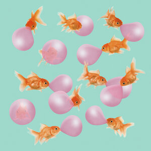 Wandbild / Kunstdruck / Poster / Leinwand - Bubblegum Goldfish - Photocircle
