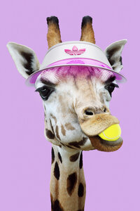 Wandbild / Kunstdruck / Poster / Leinwand - Tennis Giraffe - Photocircle