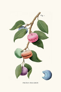 Wandbild / Kunstdruck / Poster / Leinwand - Macaron Plant - Photocircle
