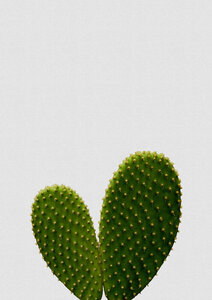 Wandbild / Kunstdruck / Poster / Leinwand - Heart Cactus - Photocircle