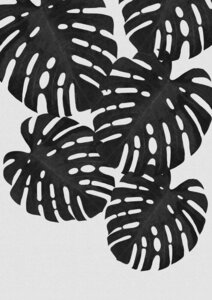 Wandbild / Kunstdruck / Poster / Leinwand - Monstera Leaf Black & White I - Photocircle