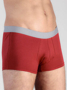 Herren Trunk Shorts aus Bio-Baumwolle Unterhose Pants Retroshort - Albero
