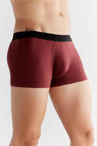 Herren Trunk Shorts aus Bio-Baumwolle Unterhose Pants Retroshort - Albero Natur