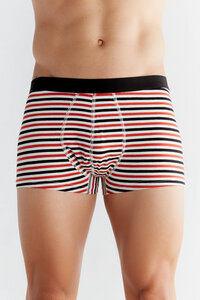 Herren Trunk Shorts aus Bio-Baumwolle Unterhose Pants Retroshort - Albero Natur