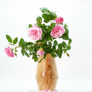 Vase aus Lindenholz mit Recyclingglas - nest-gestaltung