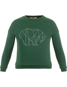 Kinder Sweater aus Bio-Baumwolle "Suli" | grün mit Druck - CORA happywear