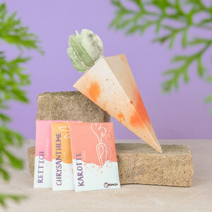 Bio-Saatgutset Volle Möhre - primoza GmbH