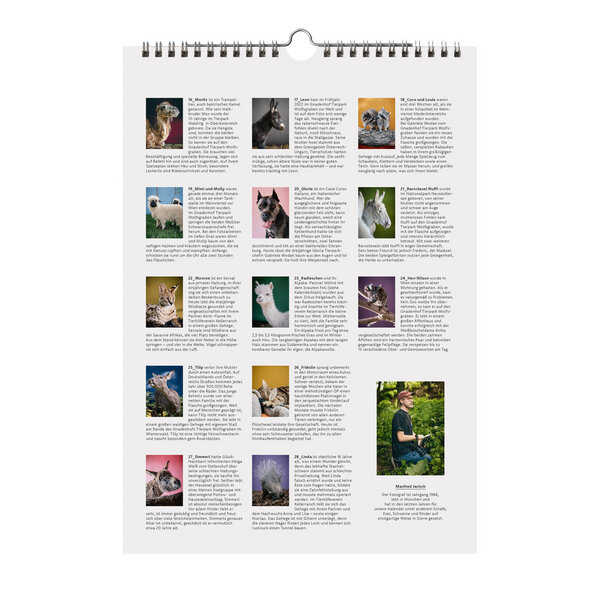 Spannende Greenpeace Kalender 2023 Bild
