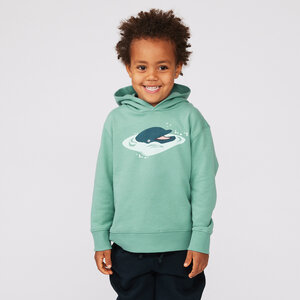 Kids Kapuzensweatshirt "Delfin" türkis - Greenpeace Warenhaus