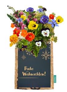 Grußkarte mit Let it grow - Hängegarten- essbare Blumen - Fairtrade Upcycling - SuperWaste