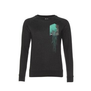 Damen Sweatshirt Pullover aus Bio-Baumwolle "ßiewied BT" Grau - FÄDD