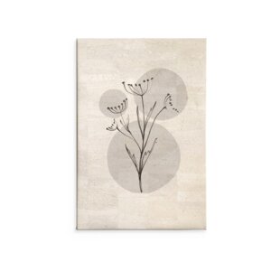 Delicate Botanicals - Wilde Karotte / Kunstdruck - Corkando