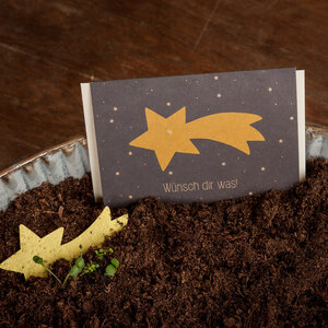 Grußkarte "Wünsch dir was" | Weihnachtskarte mit Saatgut - Die Stadtgärtner