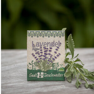 Lavendel-Saatgut | 50 BIO-Samen mit hoher Keimrate | Inkl. Anleitung - Die Stadtgärtner