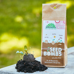 Wildblumen Seedbombs I Papiertüte mit 5 handgemachten Samenbomben - Die Stadtgärtner