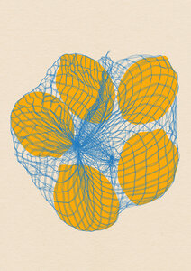 Poster / Leinwandbild - Five lemons in a net bag - Photocircle