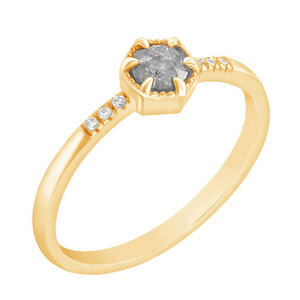 Ring aus Gold mit einzigartigem Salt´n´Pepper Diamanten Zamiel - Eppi