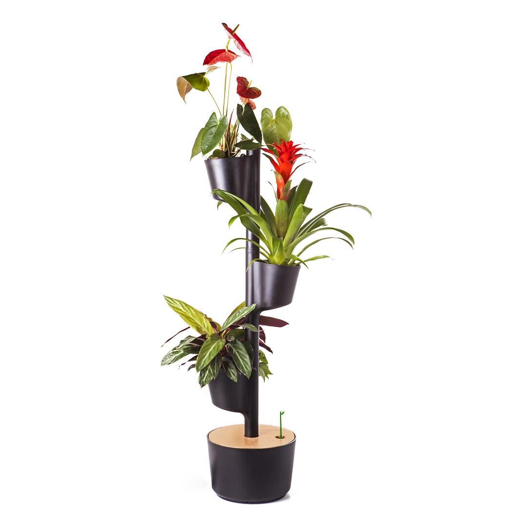 onomao - Handgemachter Blumentopf 'Planta' aus Terrakotta