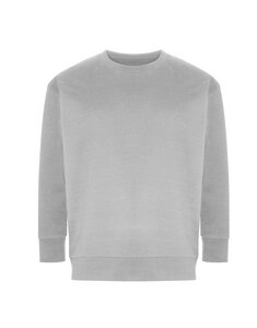 Damen Sweatshirt Sweater Pullover Freizeitshirt recycelte Materialien - Ecologie by AWDis