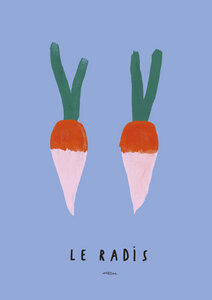 Wandbild / Poster / Leinwand  - Printed wall art with illustration of radishes - Photocircle