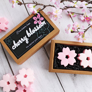 Geschenkbox mit 2 Gästeseifen "Cherry Blossom" | erfrischend blumiger Duft - Eve Butterfly Soaps