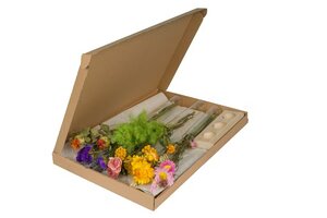 Trockenblumen mit Vasen im Briefpaket - Floriette