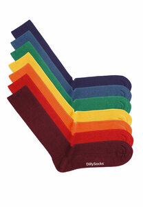 Socken "Ribbed Rainbow Collection" - DillySocks AG