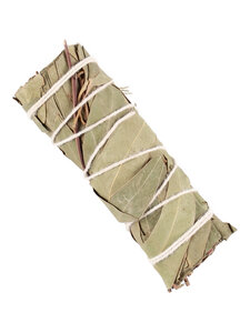 Räucherbündel - Smudge Stick - Eukalyptus - Räucherzeit