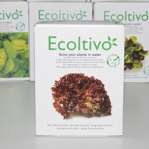 Roter Salat Zucht für Zuhause - Ecoltivo